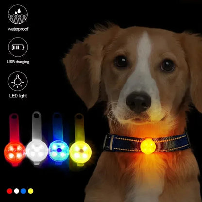 Dog collar, loss collar, weatherproof LED safety light