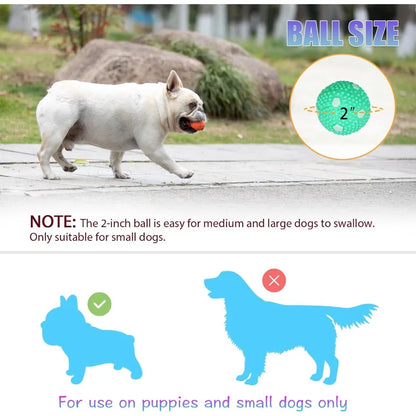 Automatic Ball Launcher for Dogs