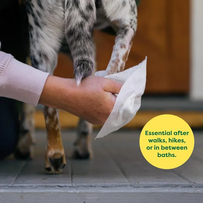 Pet Wipes, Hypoallergenic, Fragrance-free, 100 Count