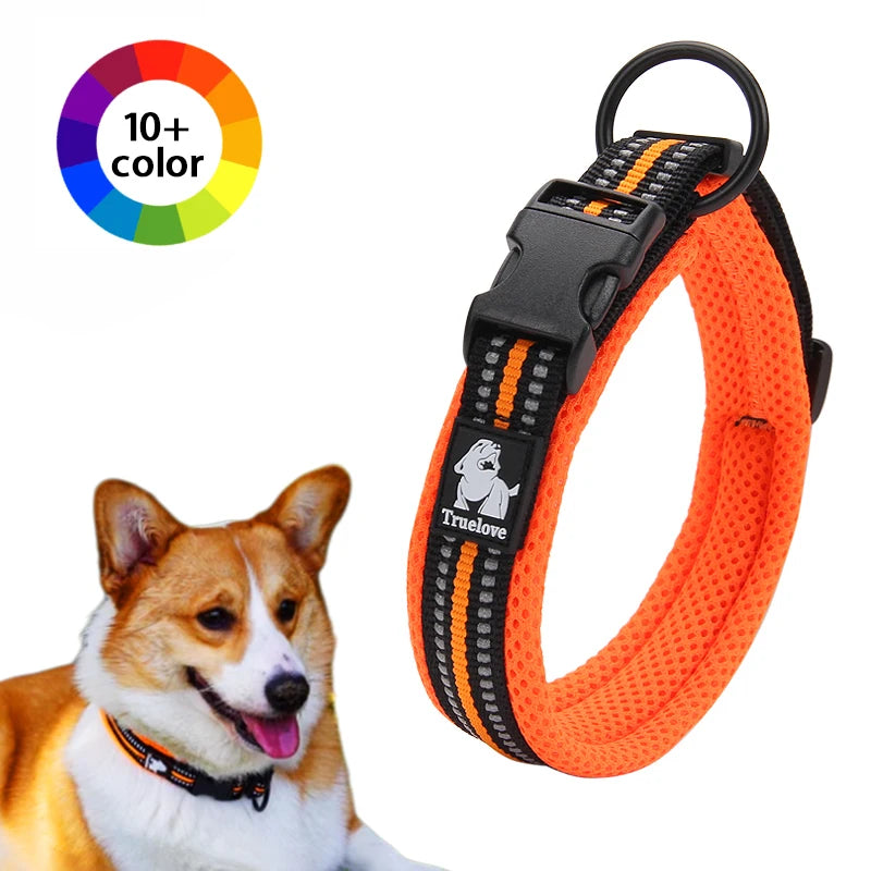 Dog Walking Collar Comfort Padded with Buckle