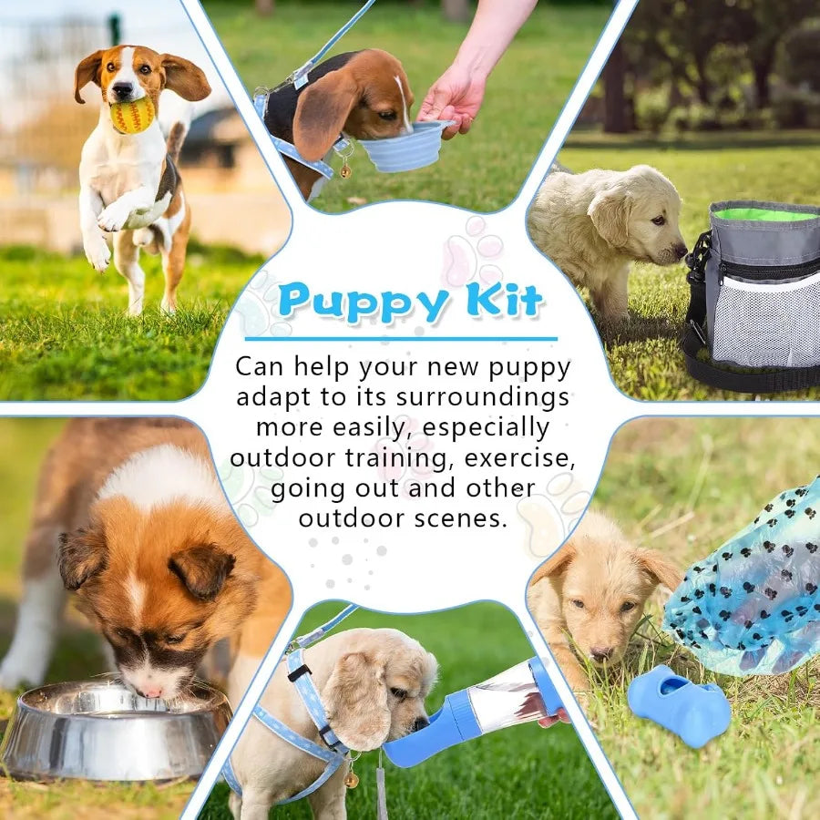65 Pcs Puppy Supplies Starter Kit