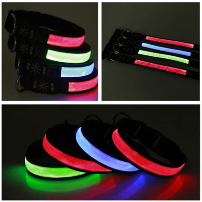LED Glowing Dog Collar Adjustable Flashing USB Charging