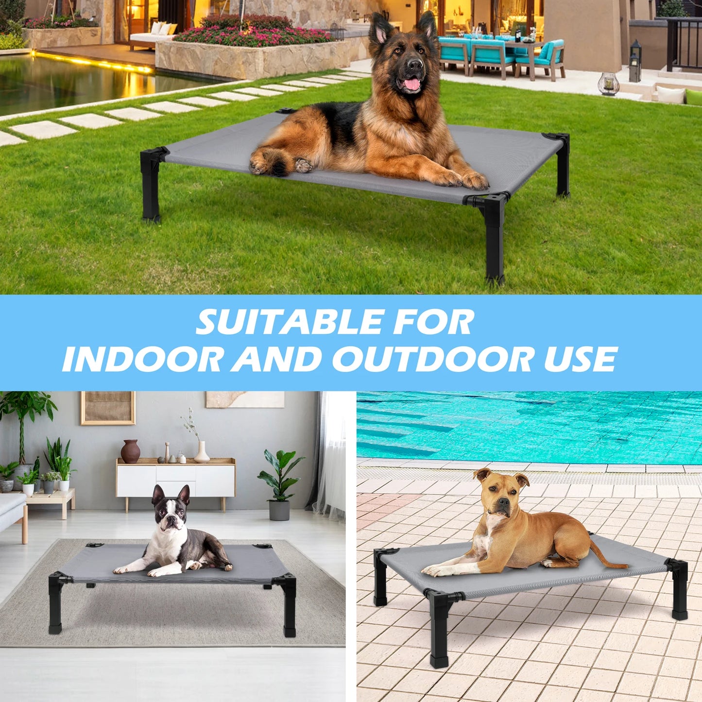 Elevated Dog Bed, Cooling Raised Pet Cot
