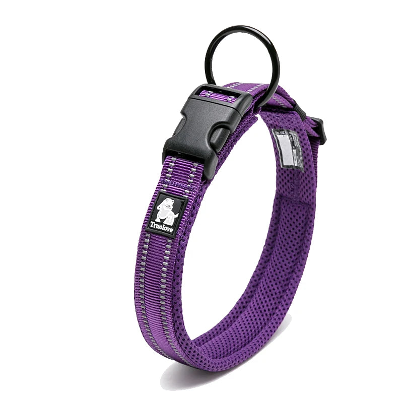 Dog Walking Collar Comfort Padded with Buckle