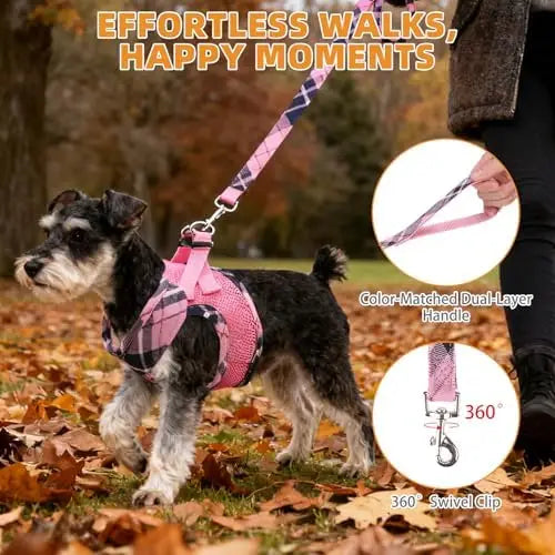 Dog Harness & Leash Set – Soft Mesh Padded Vest