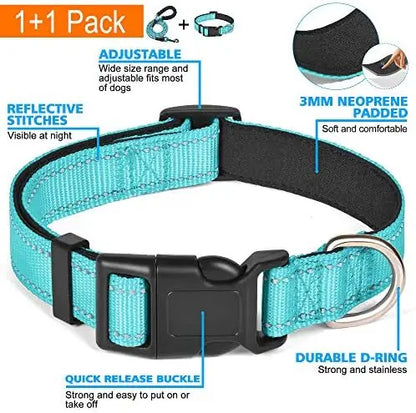 Soft padded reflective collar for dogs+ leash.