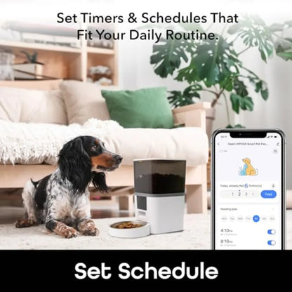 6L Smart Pet Feeder Automatic