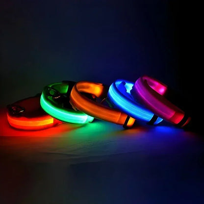 Collar Nylon LED Night Safety Flashing Glow In The Dark