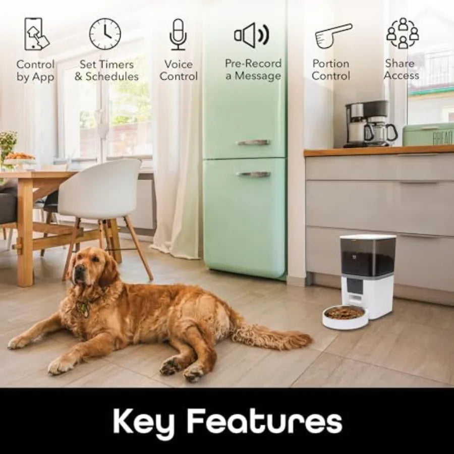 6L Smart Pet Feeder Automatic