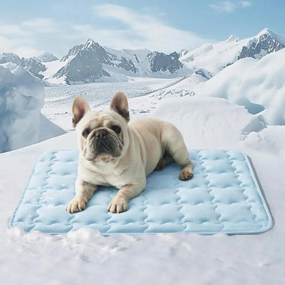 Summer Pet Cooling Mat For Dogs & Cats, Prevent Overheating