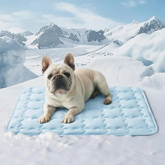 Summer Pet Cooling Mat For Dogs & Cats, Prevent Overheating