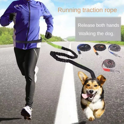 Hand Free Dog Leash for Pet Walking Running