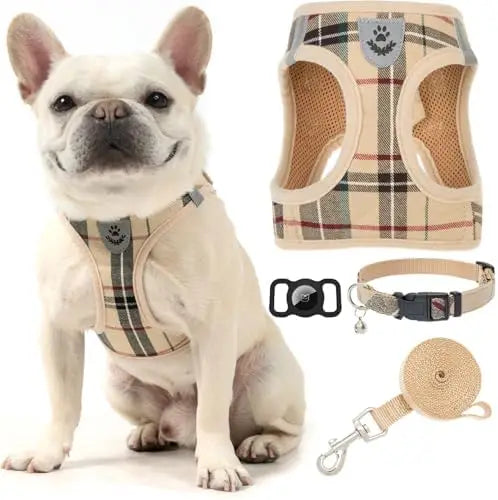 Harness & Leash Set with AirTag – Soft Padded Vest