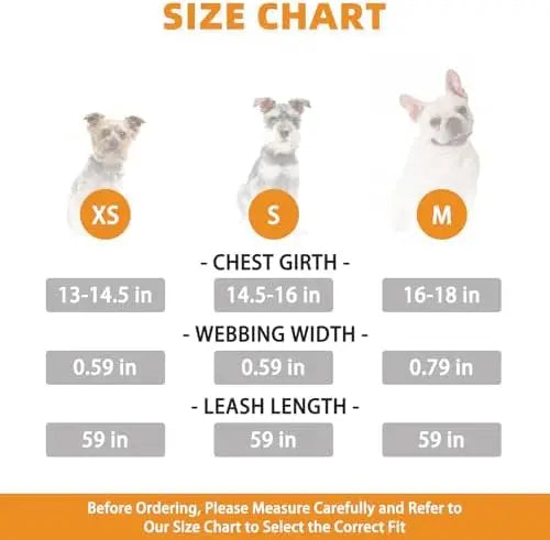Dog Harness & Leash Set – Soft Mesh Padded Vest