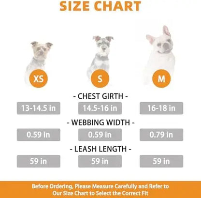 Dog Harness & Leash Set – Soft Mesh Padded Vest