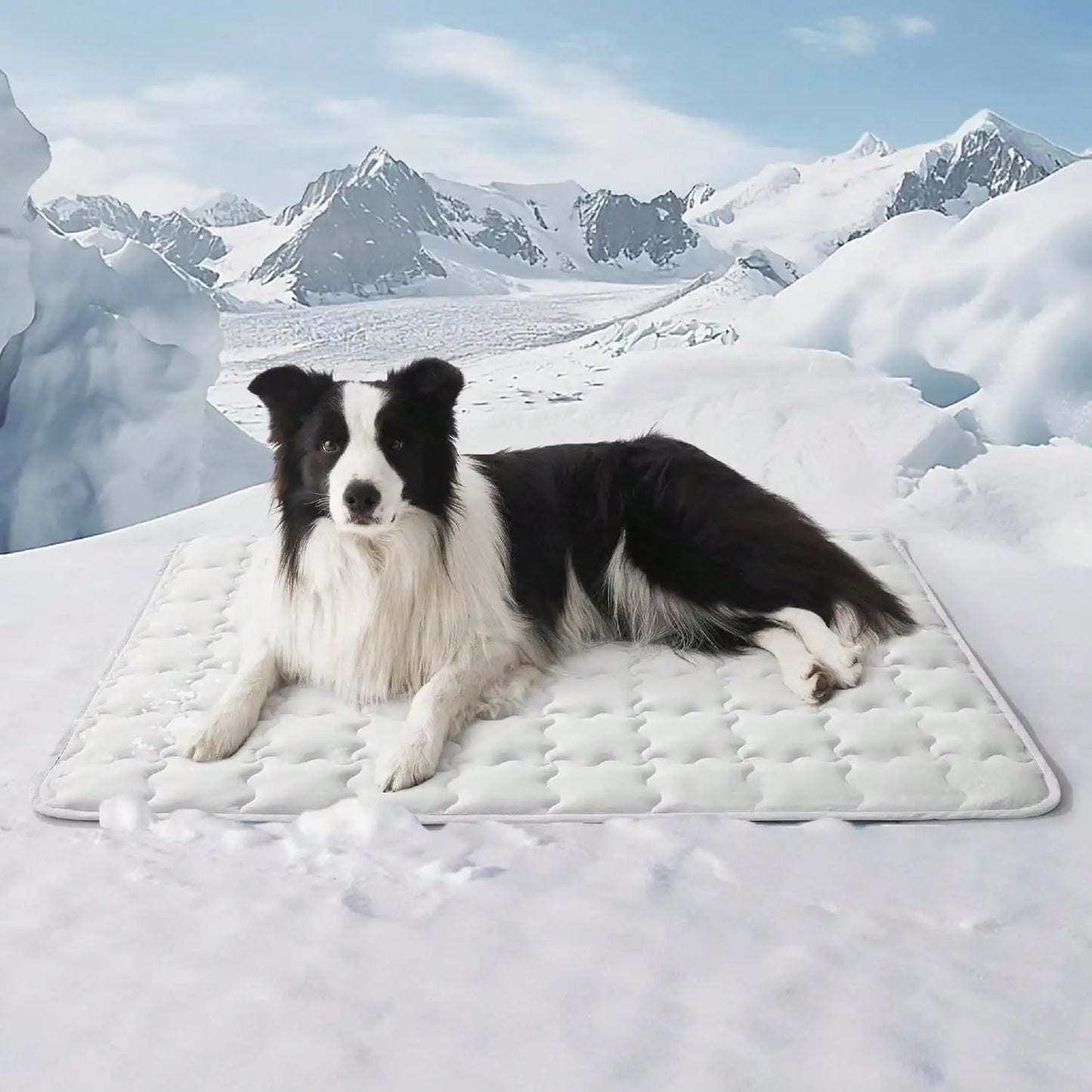 Summer Pet Cooling Mat For Dogs & Cats, Prevent Overheating