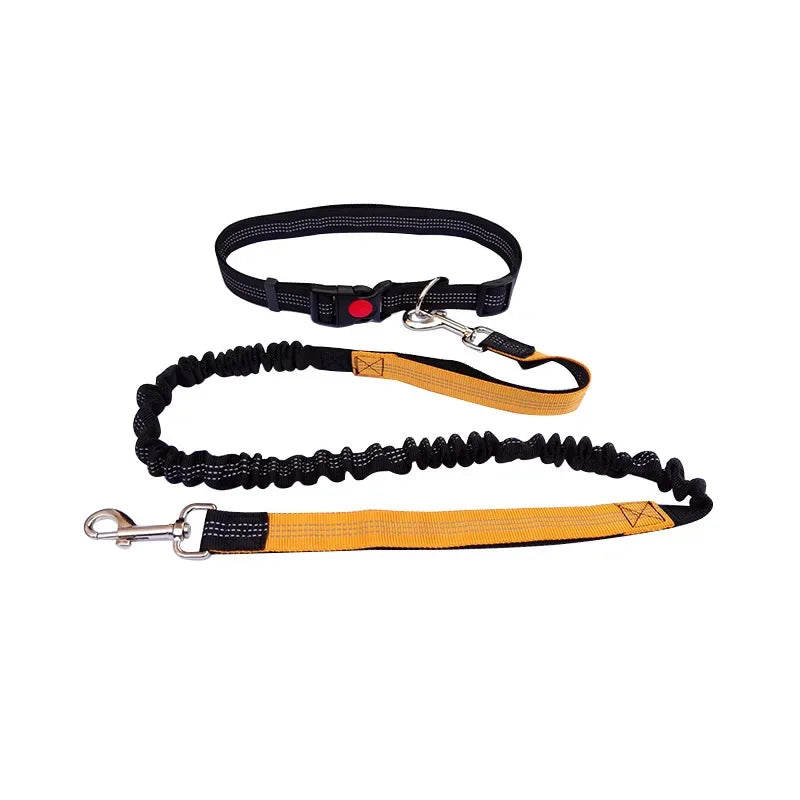 Hand Free Dog Leash for Pet Walking Running