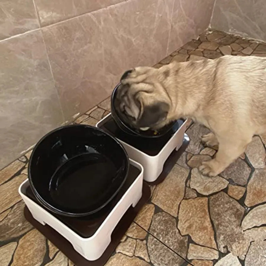 Ceramic Bulldog Dog Feeding - Tilted Pet Feeder
