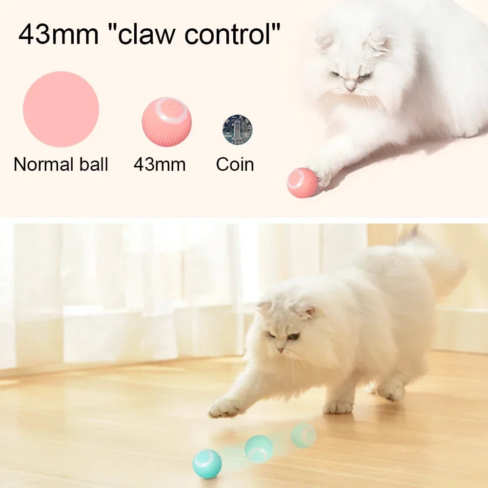Kitten Chasing Toy, Automatic Rotating Ball