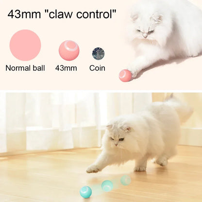 Kitten Chasing Toy, Automatic Rotating Ball