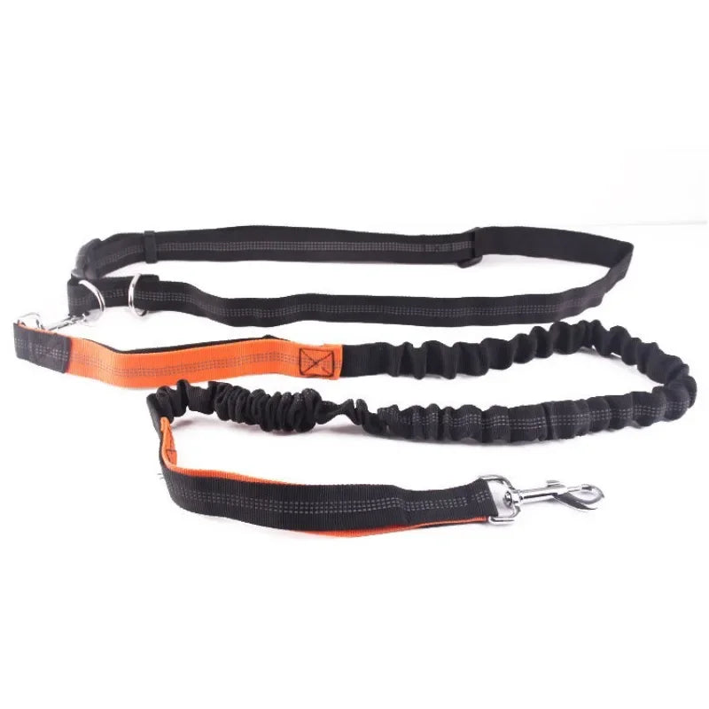 Hand Free Dog Leash for Pet Walking Running