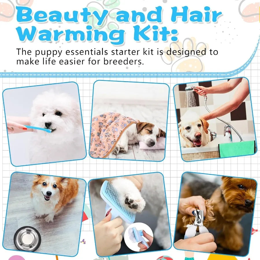 65 Pcs Puppy Supplies Starter Kit