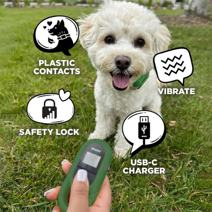 Dog Training Collar with Remote: