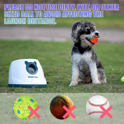 Automatic Ball Launcher for Dogs