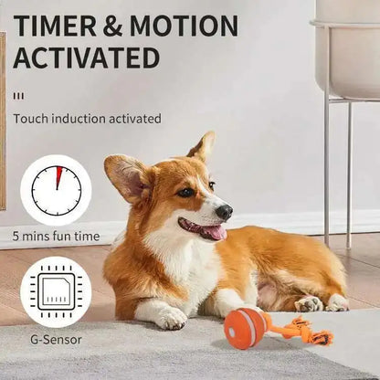 Smart Dog Toys Interactive Teasing Ball With Motion