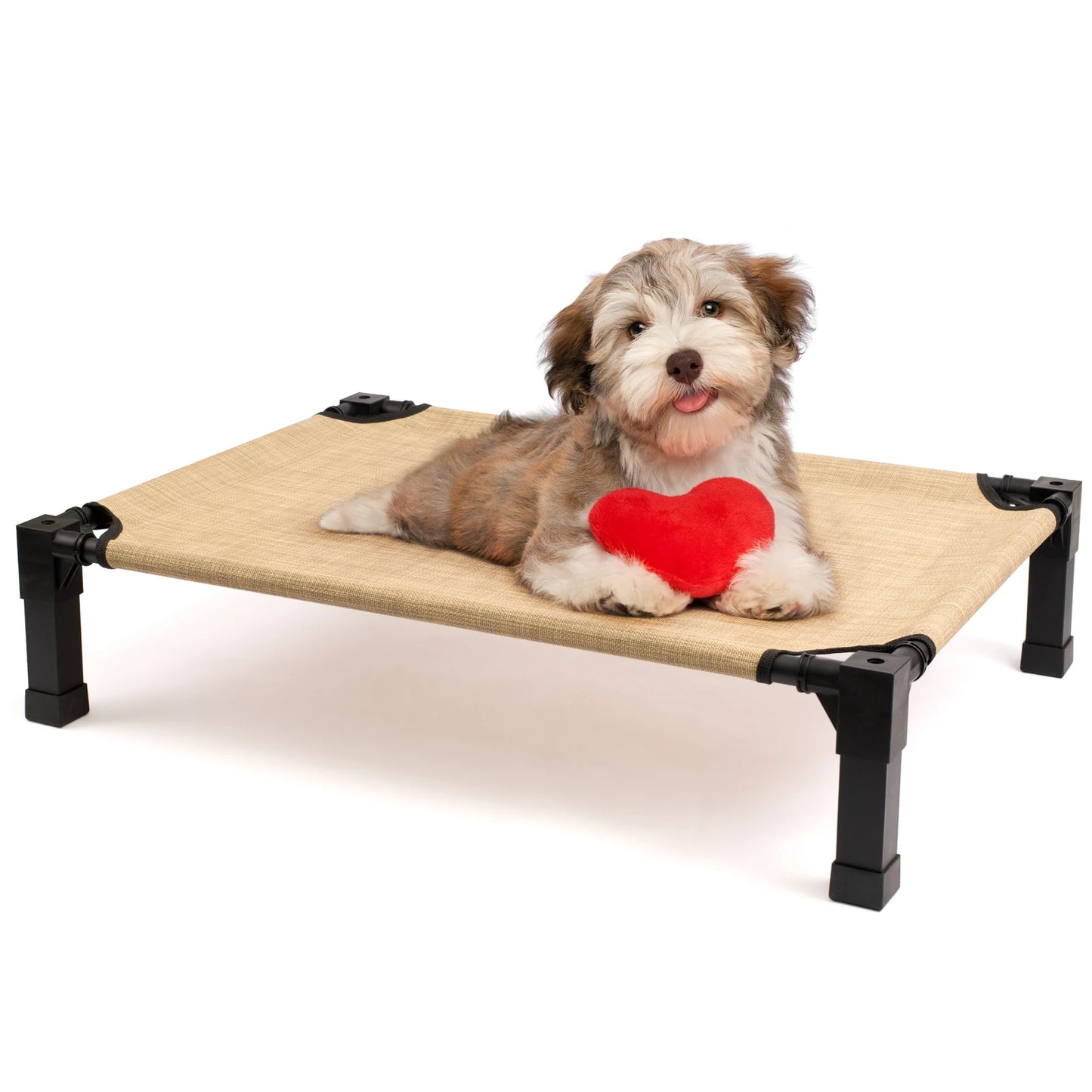 Elevated Dog Bed, Cooling Raised Pet Cot