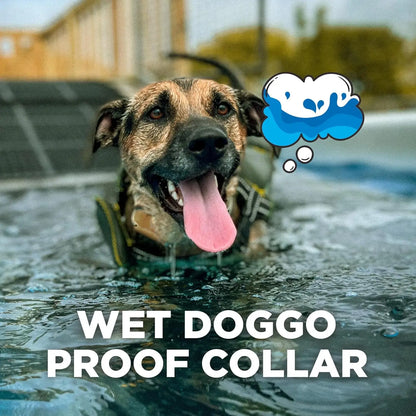 Dog Training Collar with Remote: