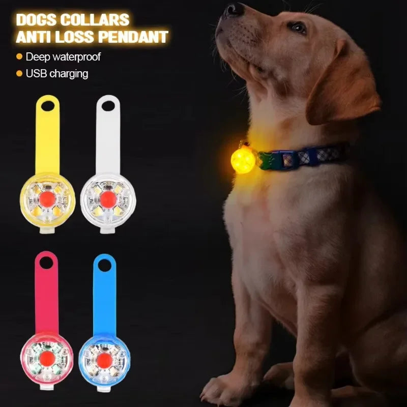 Dog collar, loss collar, weatherproof LED safety light