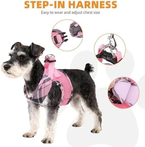 Dog Harness & Leash Set – Soft Mesh Padded Vest