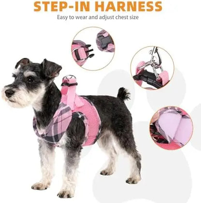 Dog Harness & Leash Set – Soft Mesh Padded Vest