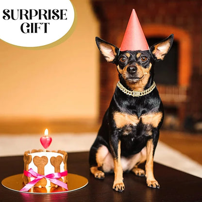 Dog Chain Collar Luxury Gold