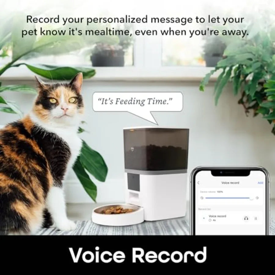 6L Smart Pet Feeder Automatic