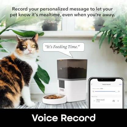 6L Smart Pet Feeder Automatic