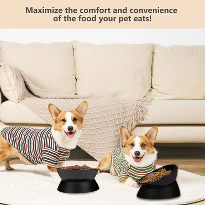Anti-Slip Ceramic Pet Bowl with Adjustable Slope