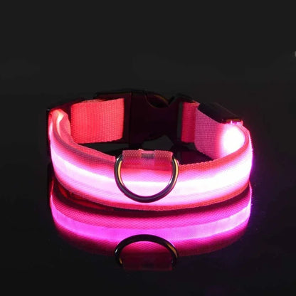 Collar Nylon LED Night Safety Flashing Glow In The Dark