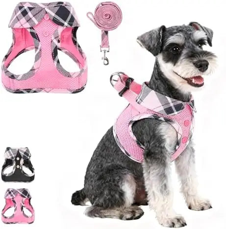 Dog Harness & Leash Set – Soft Mesh Padded Vest
