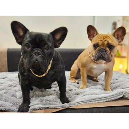 Dog Chain Diamond Cuban Collar