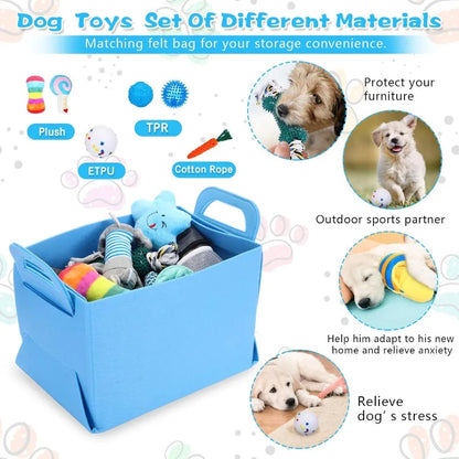 65 Pcs Puppy Supplies Starter Kit