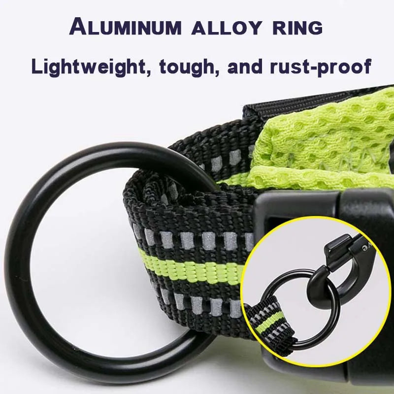 Dog Walking Collar Comfort Padded with Buckle