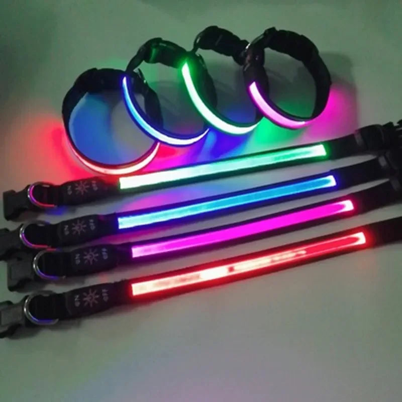 LED Glowing Dog Collar Adjustable Flashing USB Charging