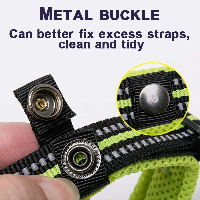 Dog Walking Collar Comfort Padded with Buckle