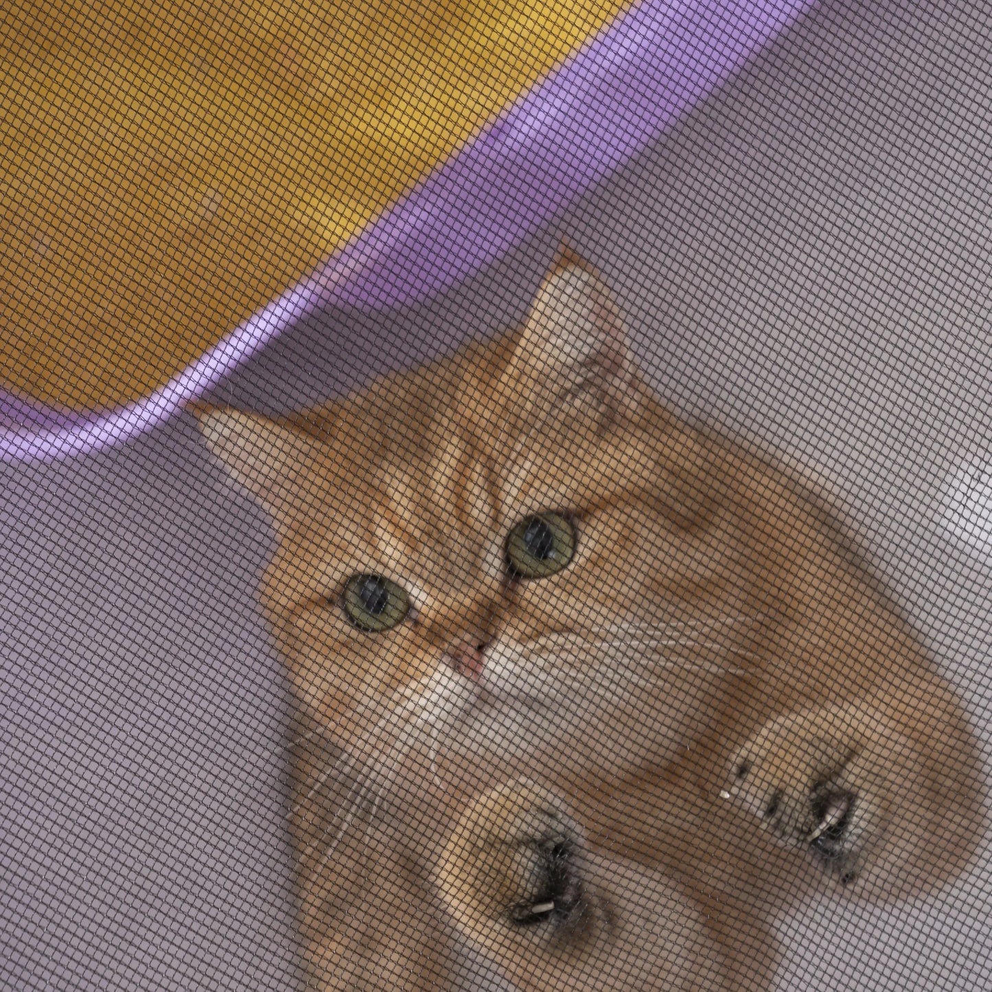 Foldable Mesh Ventilated Circular Cat Nest Out