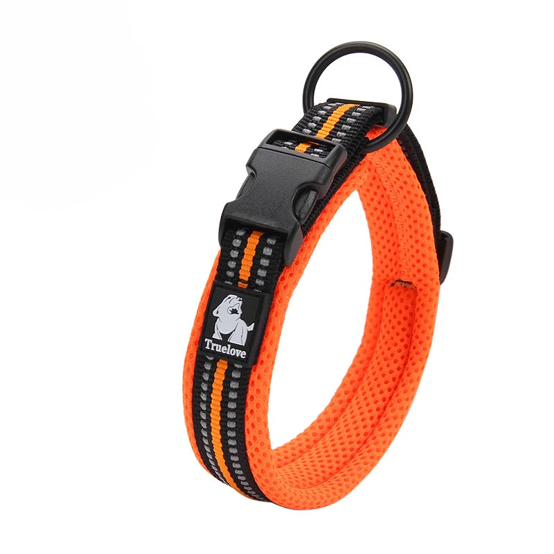 Dog Walking Collar Comfort Padded with Buckle
