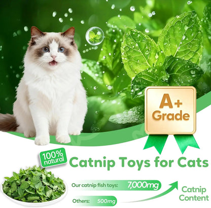 Catnip Toys Saury Fish, Interactive