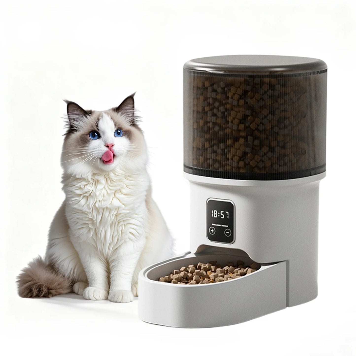 Programmable 4L Automatic Pet Feeder for Small Dogs Cats