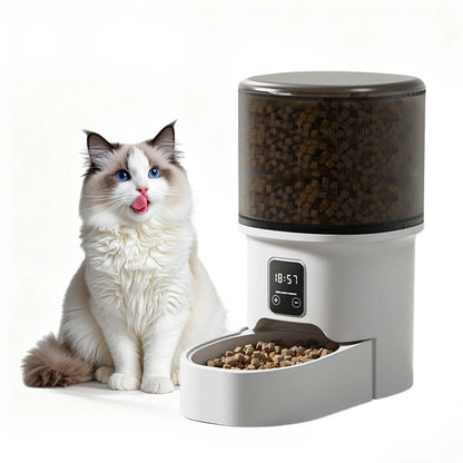 Programmable 4L Automatic Pet Feeder for Small Dogs Cats